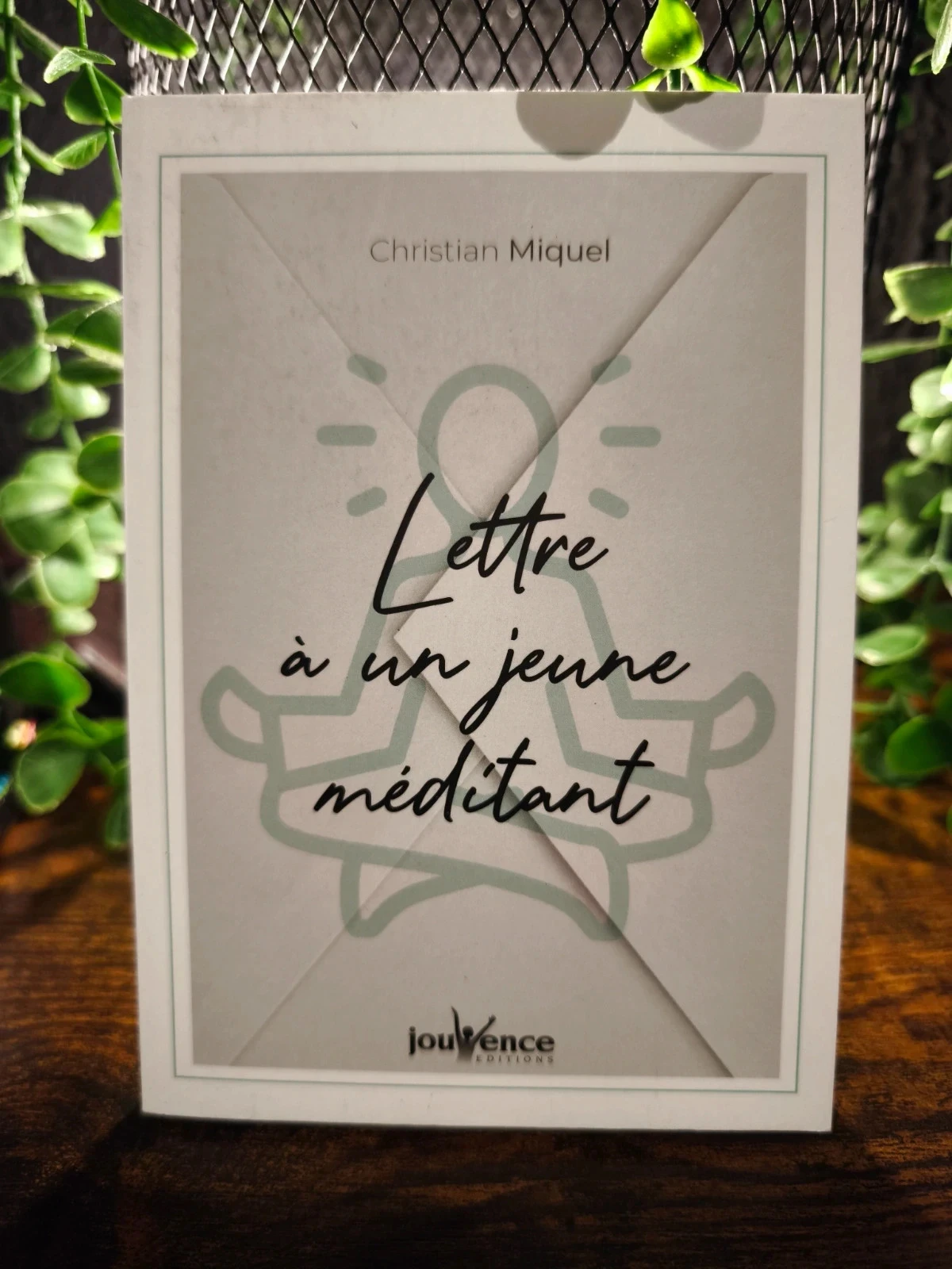 Lettre à un jeune méditant